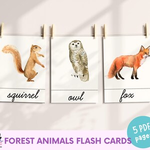 Könnte beinhalten: Aquarell-Lernkarten mit einem Eichhörnchen, einer Eule und einem Fuchs. Jede Karte trägt den Namen des Tieres in Schreibschrift. Die Karten sind mit Holzklammern an einer Schnur befestigt. Der Text "FOREST ANIMALS FLASH CARDS" ist ebenfalls zu sehen.