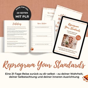 May include: A journal and a tablet display the title "Reprogram Your Standards" with the text "40 Seiten MIT PLR". The journal pages are filled with text. The tablet shows a woman holding flowers. The image has a warm, inviting colour palette.