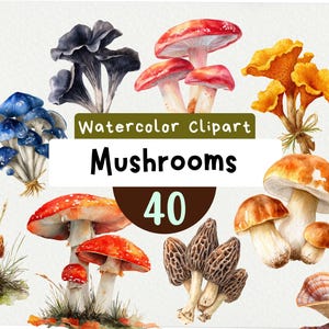 Pilze Clipart 40 PNG, Aquarell Illustrationen, Pilzarten Bundle, Sofort Download, digitale Kunst, Karten & Basteln