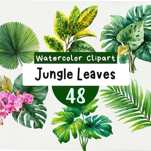 May include: Watercolor clipart of various jungle leaves, including monstera, palm, and fern leaves, with a cluster of pink orchids. The text "Watercolor Clipart Jungle Leaves 48" is displayed on a white background.