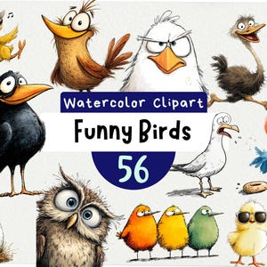 Puede incluir: Clipart de acuarela con 10 pájaros de dibujos animados caprichosos en varias poses y colores. La imagen incluye una variedad de aves, como un cuervo, un búho y un polluelo, con el texto "Watercolor Clipart Funny Birds 56".