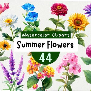Clipart de flores de verão 44 PNG, ilustrações florais em aquarela, conjunto de girassóis, download instantâneo, arte digital para cartões e artesanato