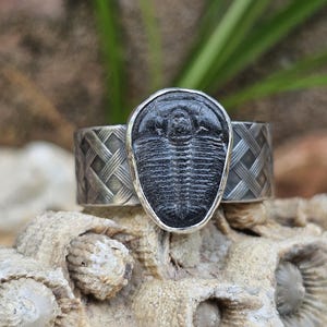 Sterling Silver Ring with Trilobite Fossil. Size 10.5