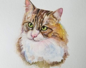 Fur Children | Pet Portraits | Cats | Dogs