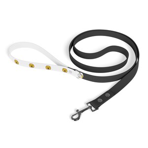Yellow Labrador Dog Leash