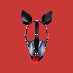 Pet Crawler Bitchsuit