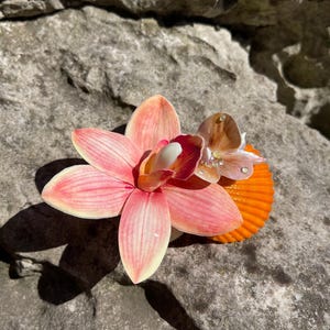 Pinza para el pelo con flores tropicales: orquídea de resina y concha para playa