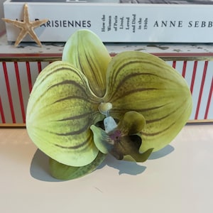 Green Orchid Hair Clip – Tropical Flower Hair Accessory for Summer & Holiday Looks