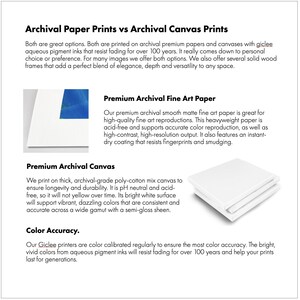 May include: Informational graphic comparing archival paper prints and archival canvas prints. The text highlights features like fade resistance, color accuracy, and paper types. Images of paper and canvas are included.