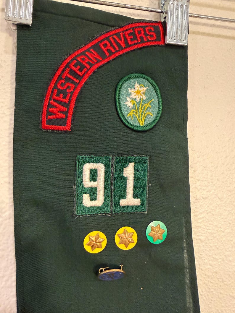 May include: A dark green banner with patches and pins. The banner has the words "WESTERN RIVERS" in red. There are patches with the number "91", a floral design, and several star-shaped pins. A small pin with a blue stone is also present.