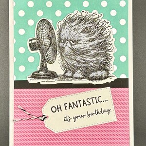 Könnte beinhalten: Handgemachte Geburtstagskarte mit einer detaillierten Illustration einer flauschigen Katze vor einem Ventilator. Die Karte hat einen türkisfarbenen Hintergrund mit Polka-Dots, einen rosa gestreiften Abschnitt und ein Etikett mit der Aufschrift "OH FANTASTIC... it's your birthday."