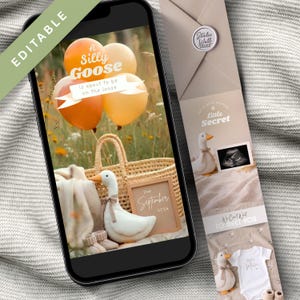 Può includere: Annuncio di nascita visualizzato su uno smartphone. L'immagine presenta palloncini arancioni e gialli, un cestino, un'oca di peluche e il testo "A Silly Goose is about to be on the loose." Una scheda rivela un'ecografia e vestiti per bambini.