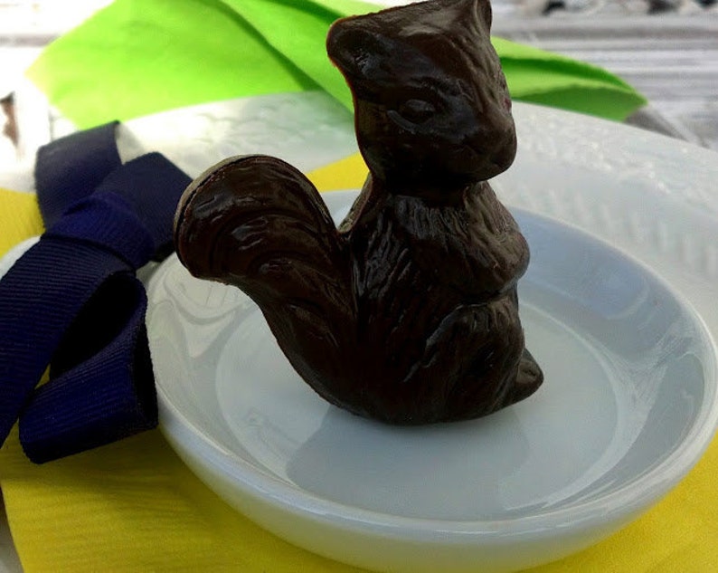 Chocolate 3D Cute Forrest Squirrel Solid 3 count image 1