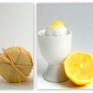 Natural & Organic Lemon Lover Sampler