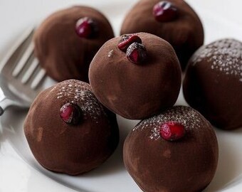 Dark Chocolate Cranberry Truffles (16 count)