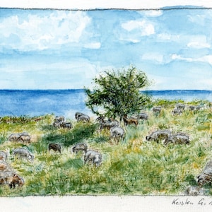 Puede incluir: Pintura de acuarela de un rebaño de ovejas pastando en un campo herboso cerca del mar. El cielo es azul con nubes blancas. Un árbol está en el centro del campo. Firmado por el artista.