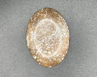 Dinosaur bone cabachon
