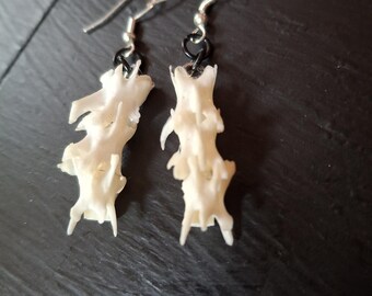 Pendientes de vértebras