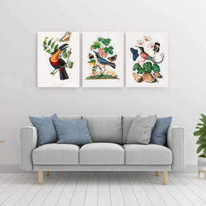 Bird Wall Art Set of 3, Neutral Nature-Inspired Prints, Botanical Triptych Canvas, Vintage Rustic Decor for Living Room, Gift for Her