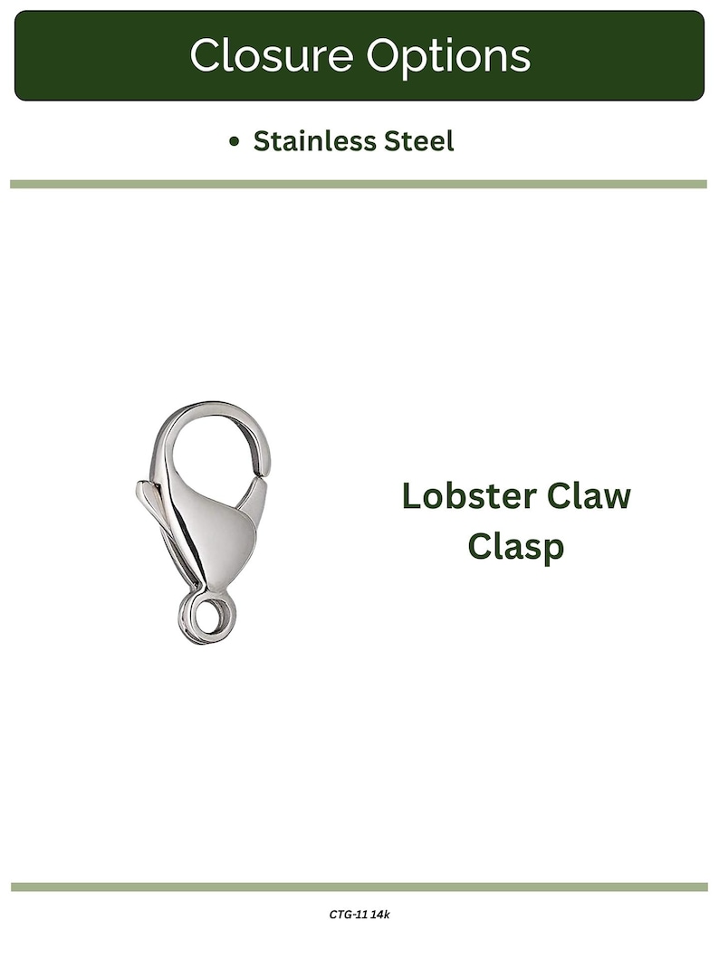 K&ouml;nnte beinhalten: Ein Edelstahl-Hummerkrallenverschluss, eine Art Schmuckverschluss. Das Bild enth&auml;lt den Text "Closure Options" und "Stainless Steel". Der Verschluss ist silberfarben und hat ein gebogenes Design mit einem federbelasteten Mechanismus.