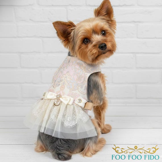 Ivory Brocade Dog Harness Dress: Rhinestone Lace Designer Pet Dress - Etsy  Israel