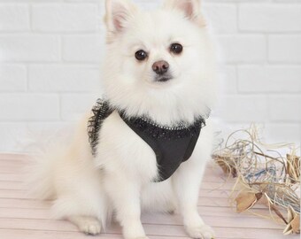 Rock & Roll Dog Harness: Rhinestone Denim Step-In Harness