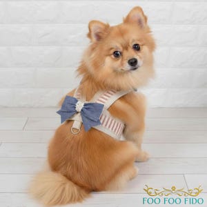 Reversible Dog Harness: Red Ticking Stripe & Floral Cotton, French Country Style
