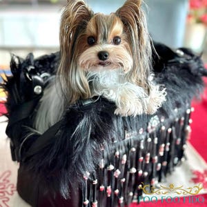 May include: A small, brown and white dog with long hair sits in a black faux fur carrier with a fringe trim and silver accents. The carrier has a black leather strap and a silver buckle.