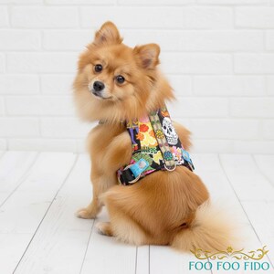 May include: A small, fluffy, tan-colored dog wearing a colorful harness with a Day of the Dead skull and floral pattern. The harness has a black background with vibrant flowers and a skull design. The dog is sitting on a white surface.