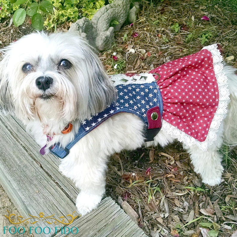 patriotic dog dress, 4th july dog outfit, americana dog vest, denim dog harness, star dog dress, small dog outfit, dog dress harness, handmade pet wear, choke free harness, dog parade outfit, red white blue dog, dog fashion usa, texas dog fashion