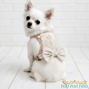 Red Ticking Dog Harness Vest – Fleur de Lis Cotton Lace, Adjustable