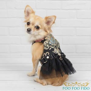 Black Brocade Dog Harness Dress: Metallic Jacquard, Lace Skirt