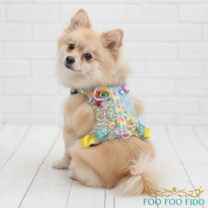 Colorful Denim Dog Harness: Fringe Choke-Free, Adjustable Small Pet Vest