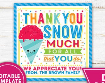 Snowcone Gift Tag Summer Gift Tags Shaved Ice Popsicle Staff Employee Teacher Appreciation School PTO PTA Thank You Label Editable Template