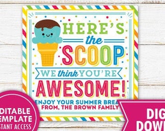 Ice Cream Gift Tag Summer Gift Tags End of School Year Staff Employee Teacher Appreciation School PTO PTA Thank You Label Editable Template