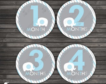 Baby Boy Month Stickers Printable Turtle Monthly Baby