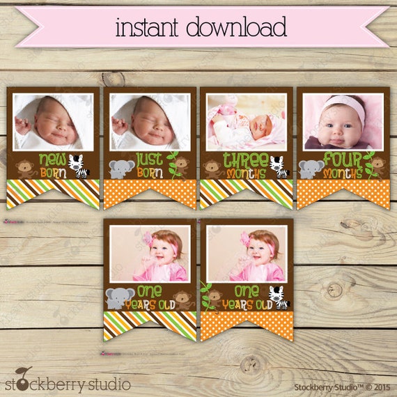 Safari Animals Baby Monthly Photo Banner Printable - Baby Month Milestone Banner - Instant Download Il_570xn