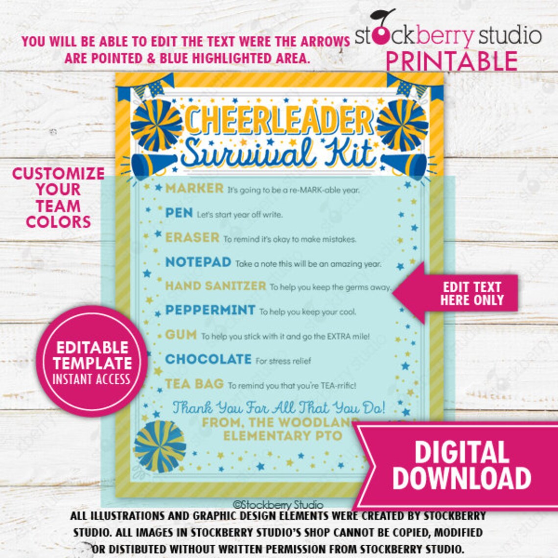 Cheerleader Kit main image 1