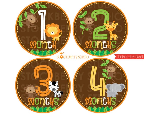 Safari Animals Baby Monthly Bodysuit Sticker or Transfer Printable - Instant Download Il_570xn