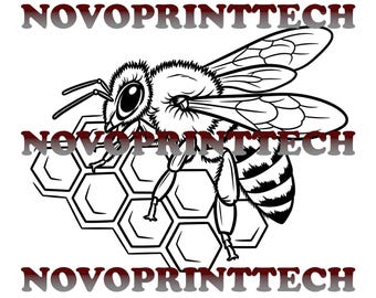 Bee Honeycomb SVG/DXF/PNG