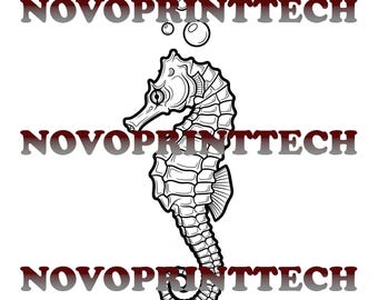 Seahorse 3 Pack SVG/DXF/PNG