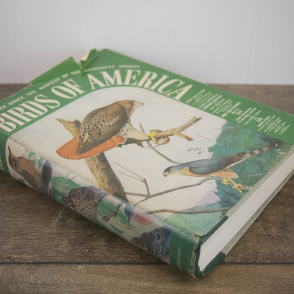 1936 Birds of America University Society Hardcover Coffee Table Book  - Louis Fuertes Color Plates