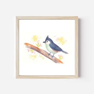 Watercolor Tufted Titmouse Bird Print – Whimsical Spring Bird Art, Digital Download