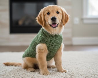 Schema per maglione all'uncinetto per cani in PDF - Facile maglione fai da te per cani di piccola taglia, download immediato, tutorial all'uncinetto per principianti - 12 TAGLIE