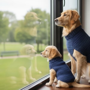 Può includere: Due cani golden retriever, uno adulto e un cucciolo, con maglioni di maglia blu navy abbinati. Sono seduti fianco a fianco, guardando fuori da una finestra un parco verde. Il cucciolo è più piccolo e ha il pelo più corto.