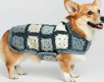 Schema per maglione all'uncinetto per cani: PDF per principianti (download immediato)