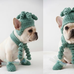 May include: A white French Bulldog wearing a teal crochet hat, scarf, and booties. The hat has a unique, curly design. The scarf and booties are adorned with bows. The dog is sitting on a white surface.