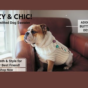 May include: A cream-coloured, hand-knitted dog sweater with an adorable button-up design. The sweater is worn by a bulldog sitting on a brown leather chair. The text reads "COZY & CHIC!" and "Warmth & Style for Your Best Friend!"