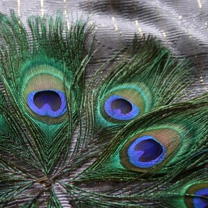 Embellish me Peacock Peacock Feather Eyes 10 image 1