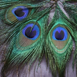 Embellish me Peacock Peacock Feather Eyes 10 image 2